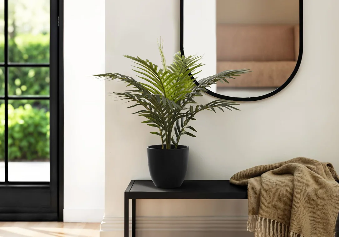 dreameehome12351701