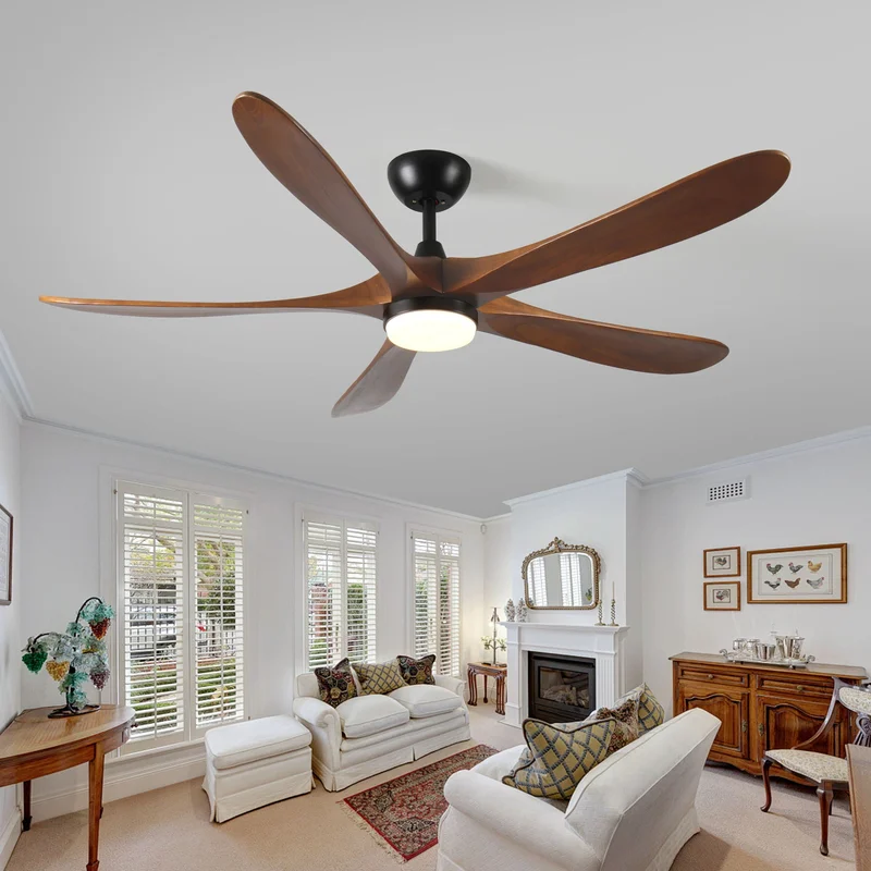 dreameehome12365538