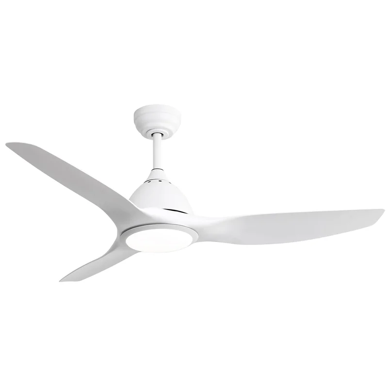 dreameehome2195861