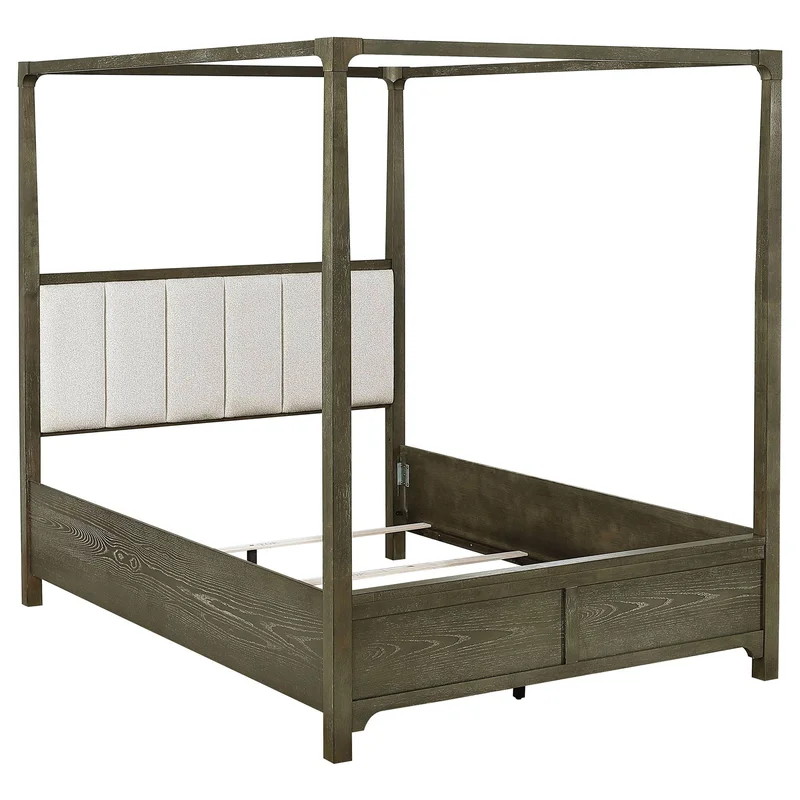 dreameehome3160654