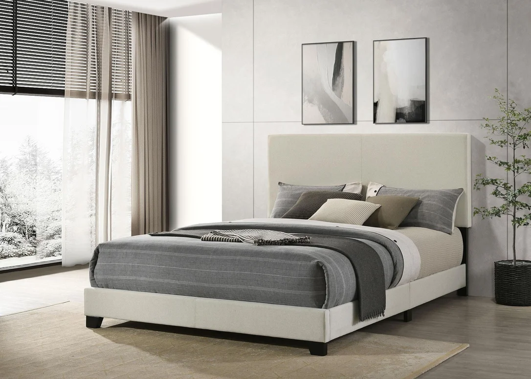 dreameehome3232532