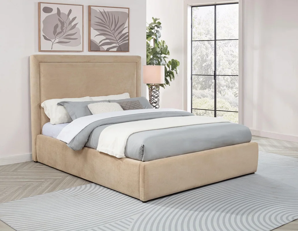 dreameehome3277150