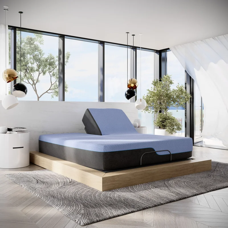 dreameehome4258123