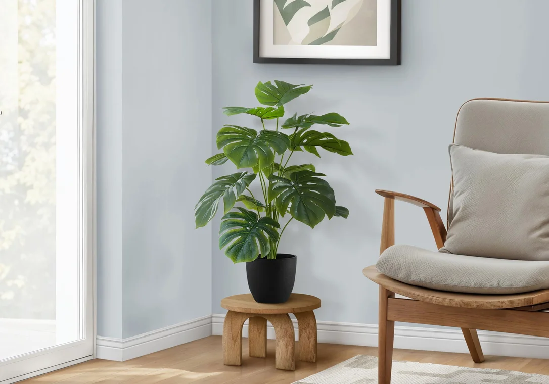 dreameehome4261803