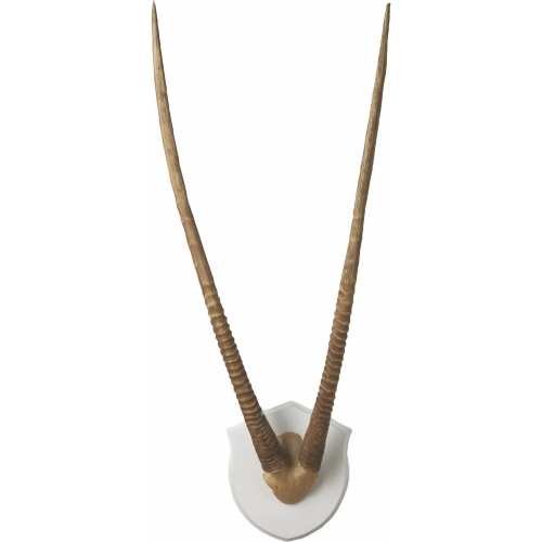 dynamichomedecor-35929