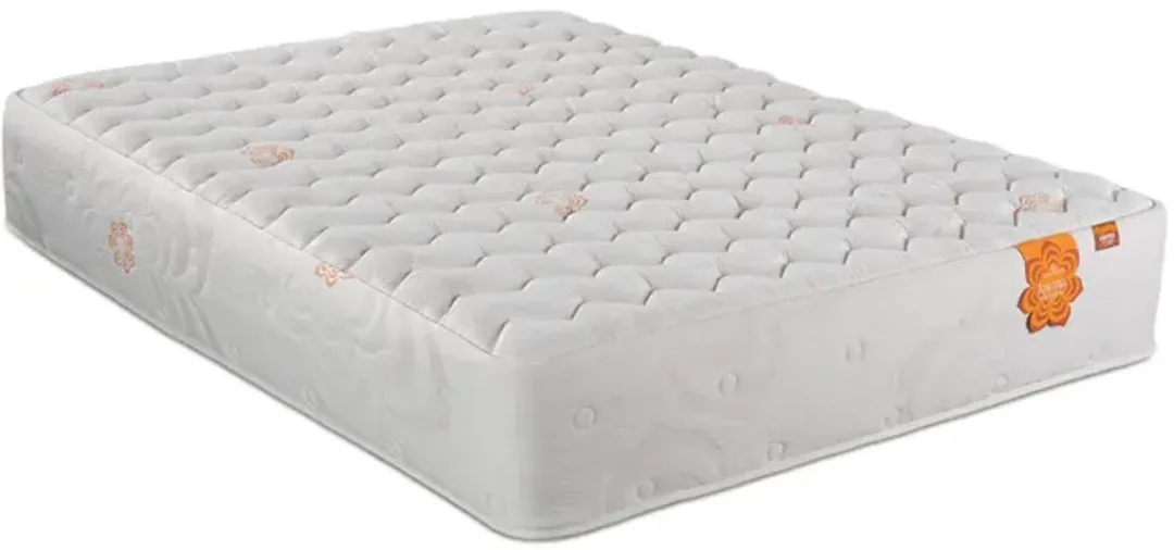 furniture4-480269