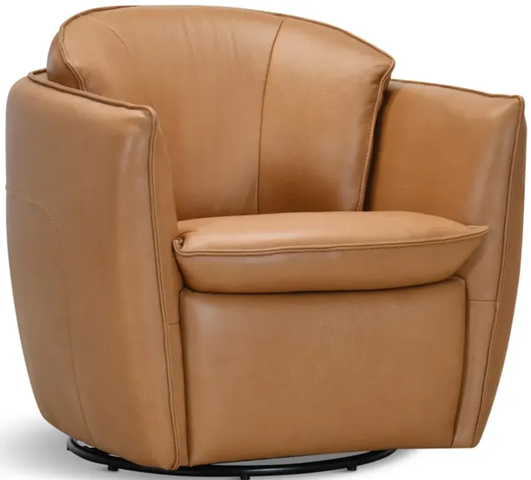 furniture4-483834