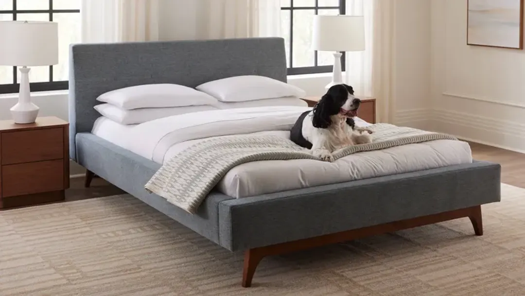 furniture4-488991