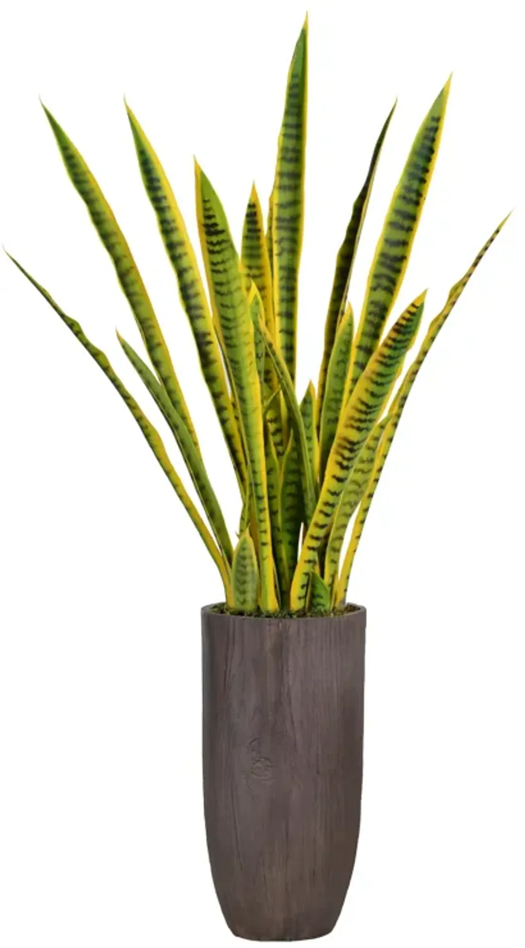 furniture4-529604