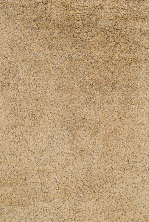 studiolx5-142514
