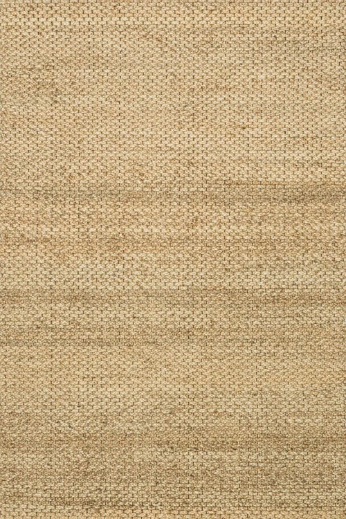 studiolx5-63179