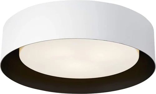 studiolx7-466578
